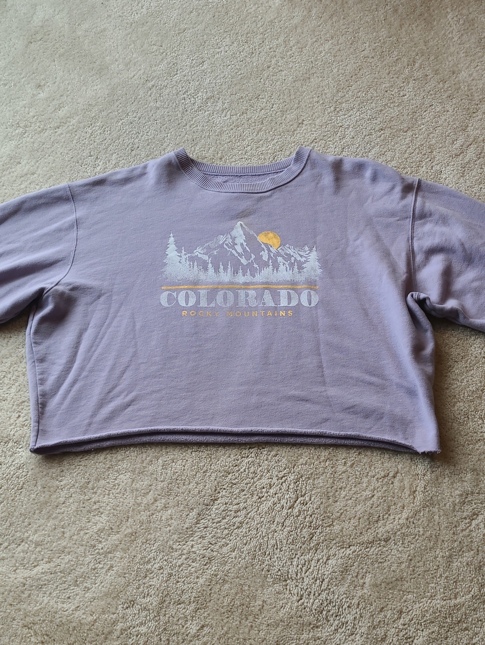 Hollister Colorado Rocky Mountains Lavender  Sweatshirt
